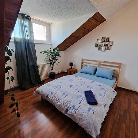 Nice Room 4 Minutes From Basel Shared Apartment Saint-Louis  Kültér fotó