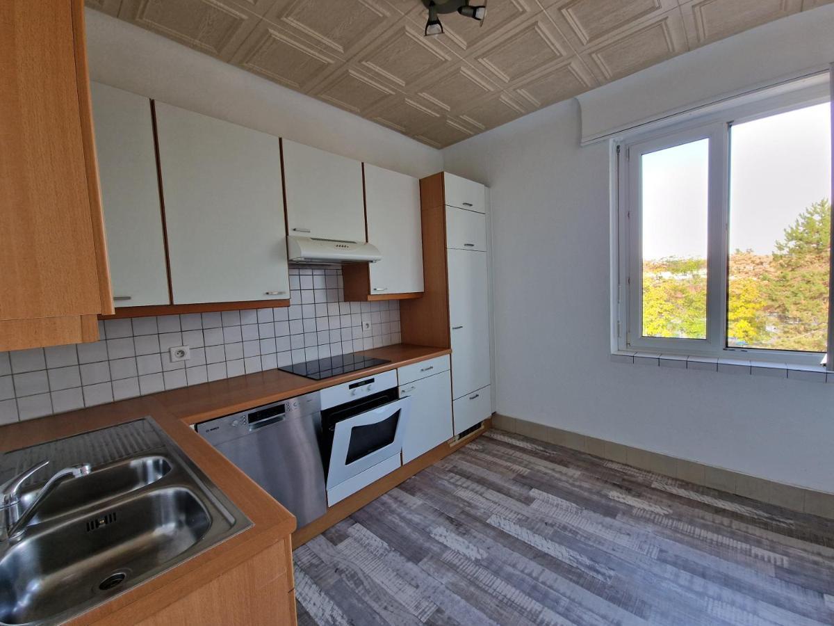 Nice Room 4 Minutes From Basel Shared Apartment Saint-Louis  Kültér fotó