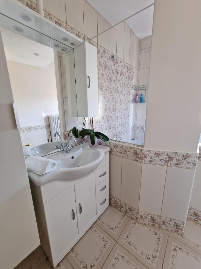 Nice Room 4 Minutes From Basel Shared Apartment Saint-Louis  Kültér fotó