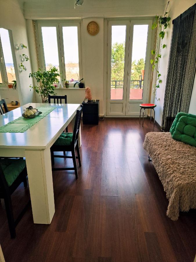 Nice Room 4 Minutes From Basel Shared Apartment Saint-Louis  Kültér fotó