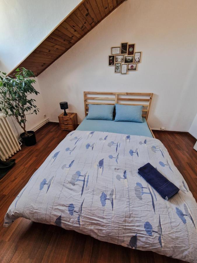 Nice Room 4 Minutes From Basel Shared Apartment Saint-Louis  Kültér fotó