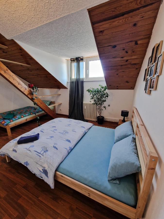 Nice Room 4 Minutes From Basel Shared Apartment Saint-Louis  Kültér fotó
