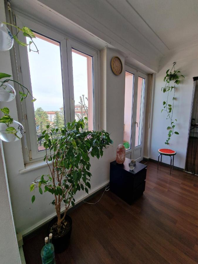 Nice Room 4 Minutes From Basel Shared Apartment Saint-Louis  Kültér fotó